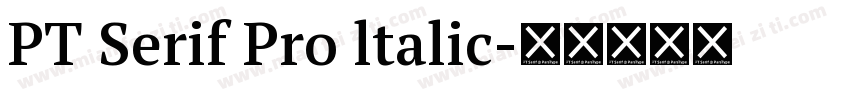 PT Serif Pro ltalic字体转换